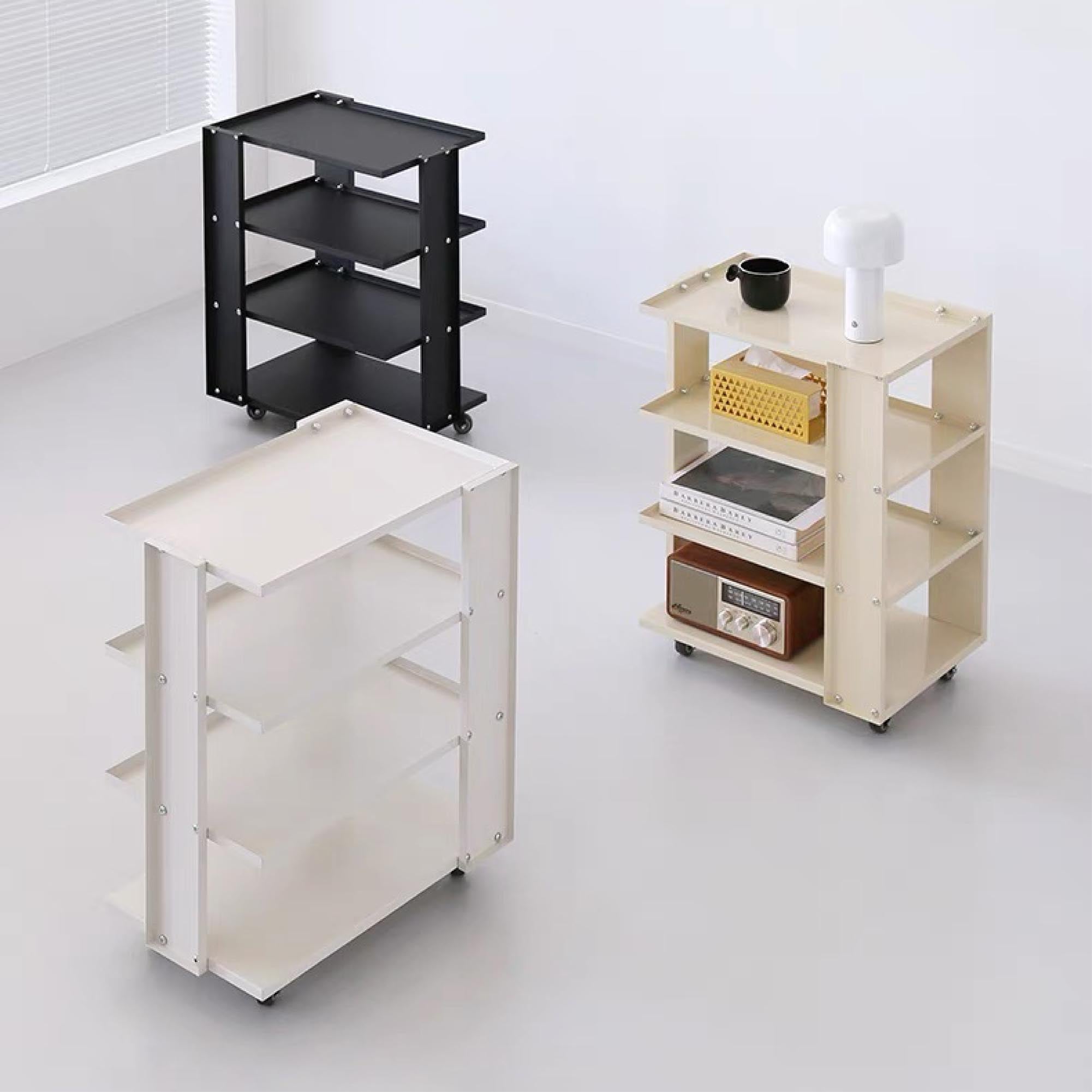 Plane Metal Organizer with Wheels