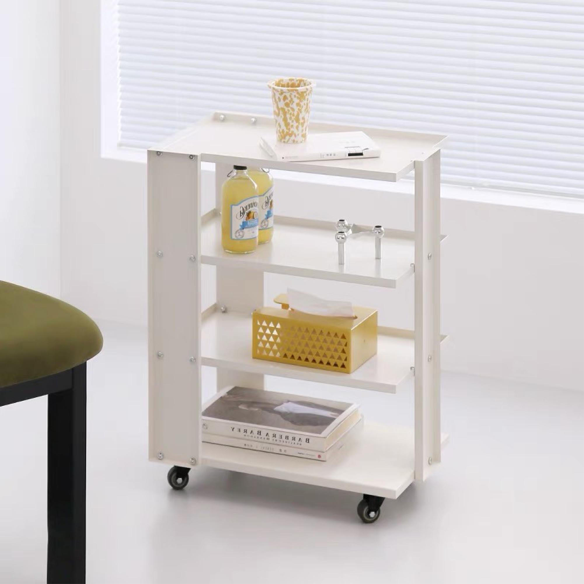 Plane Metal Organizer with Wheels