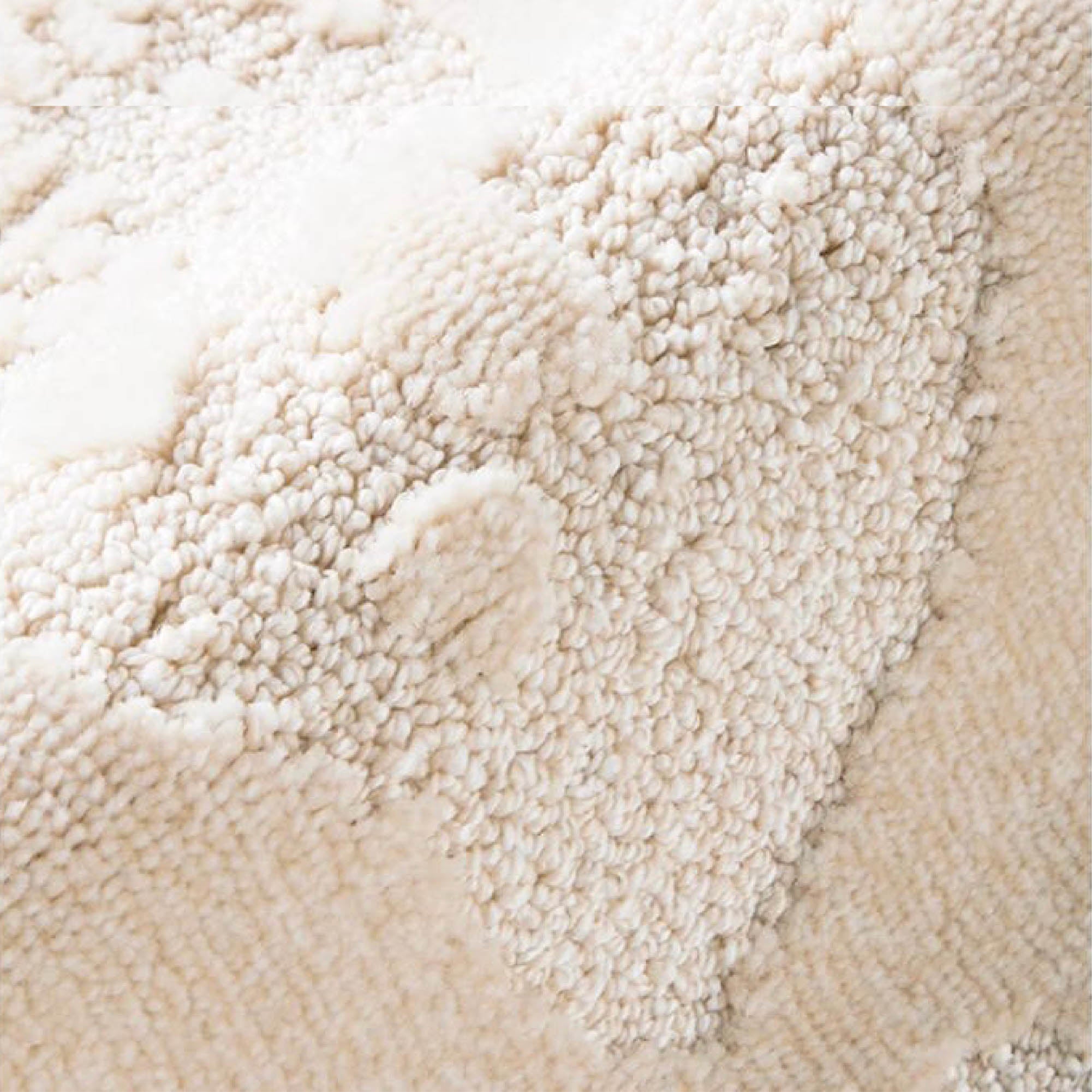 TAYSHA Textured Rug