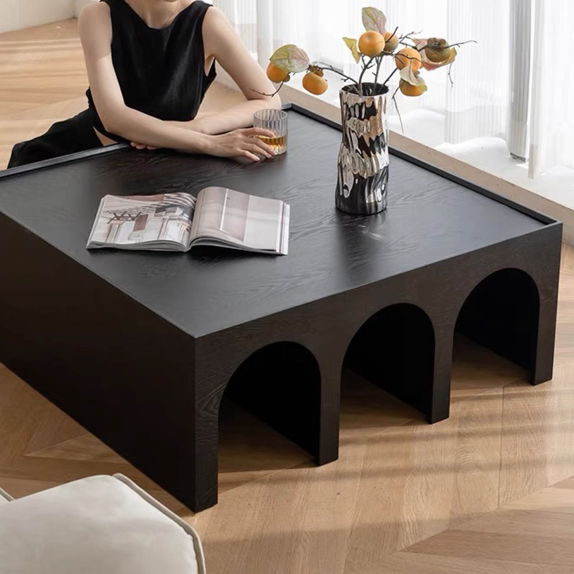 HADIN Coffee Table Cabinet (Medium)