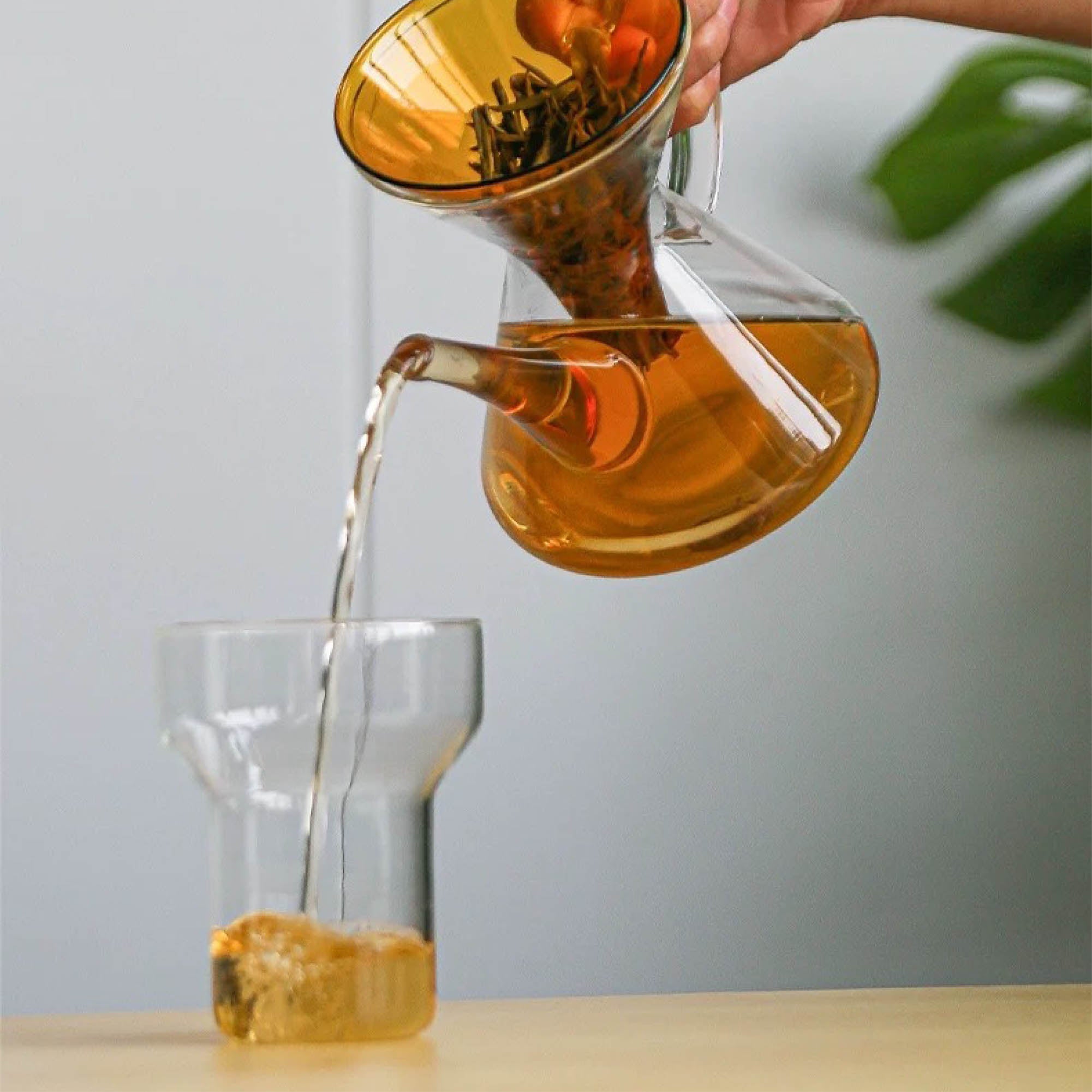 Coloured Glass Tea Pot & Filter