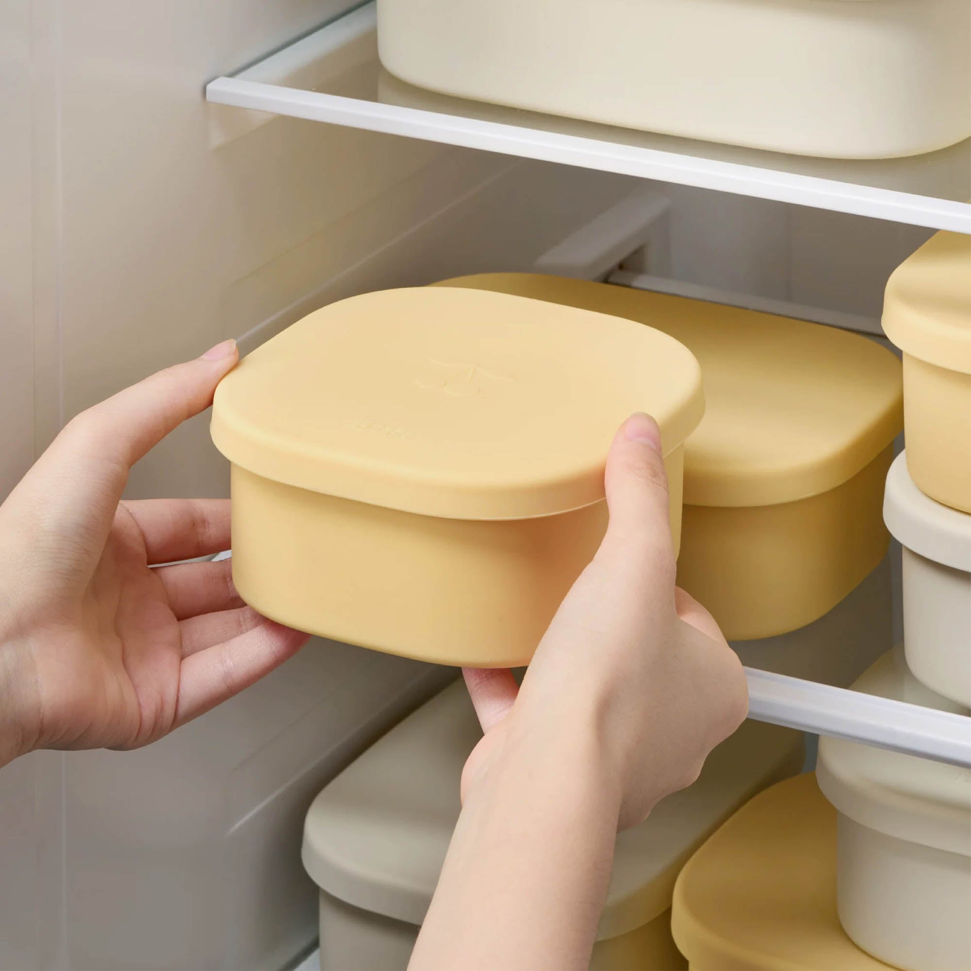 Silicone Lunch Box