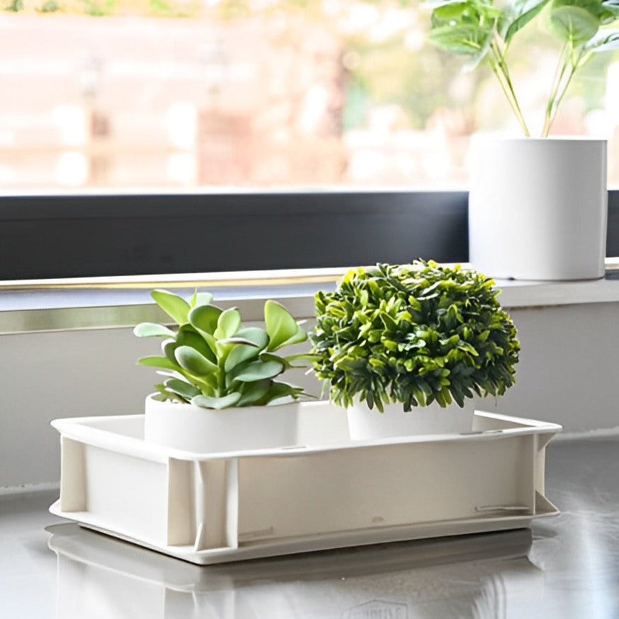 Crate Storage Box (set of two)