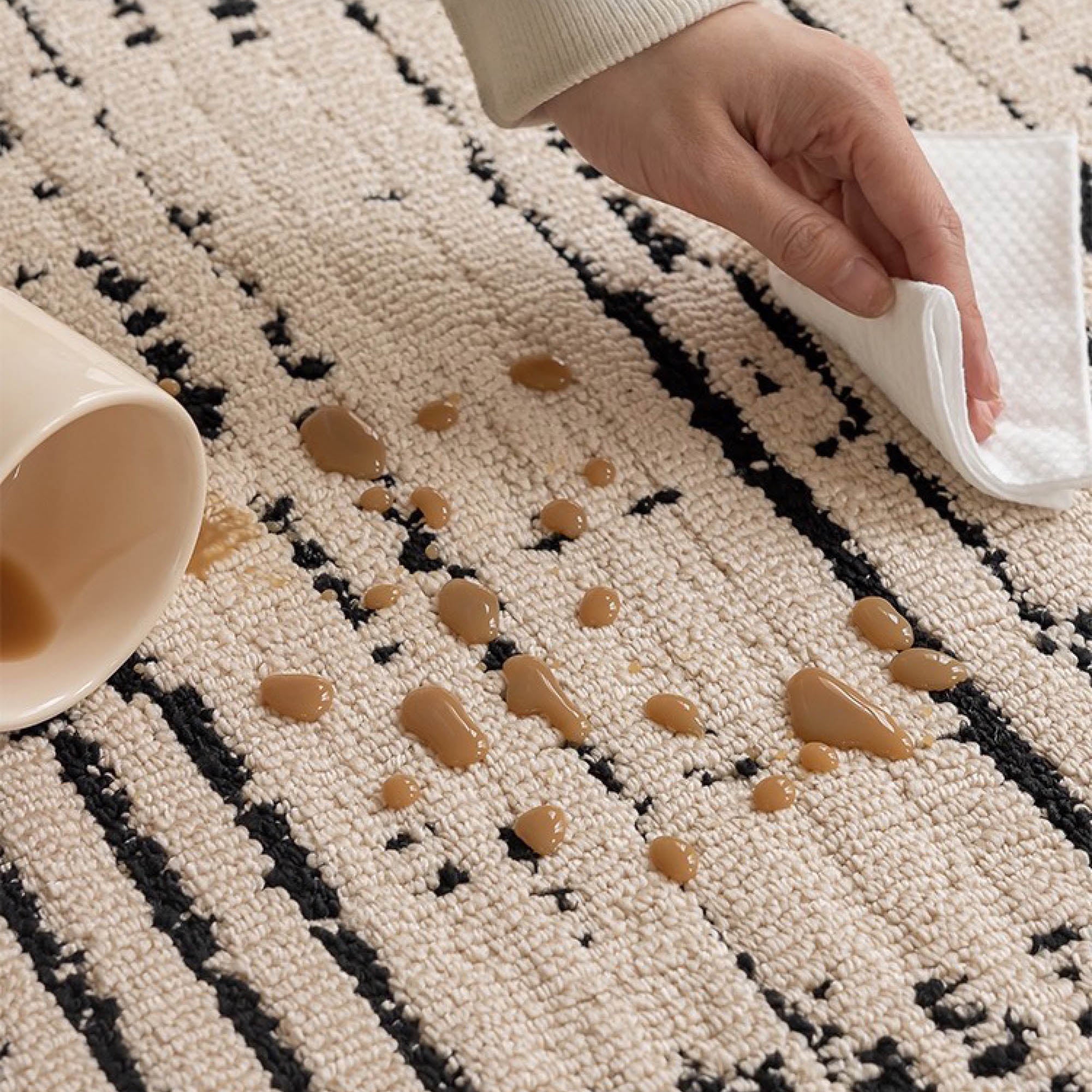 ODAMI Textured Rug